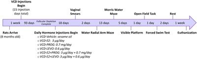 Clinically Used Hormone Formulations Differentially Impact Memory, Anxiety-Like, and Depressive-Like Behaviors in a Rat Model of Transitional Menopause